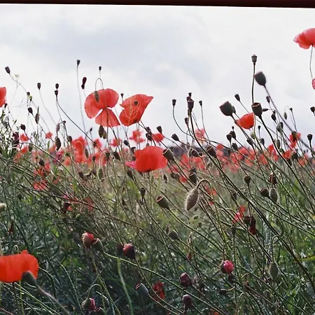 Daire 3 - Haus Buchen Am Tiefwarensee - 3 Zi Waren (Mueritz)